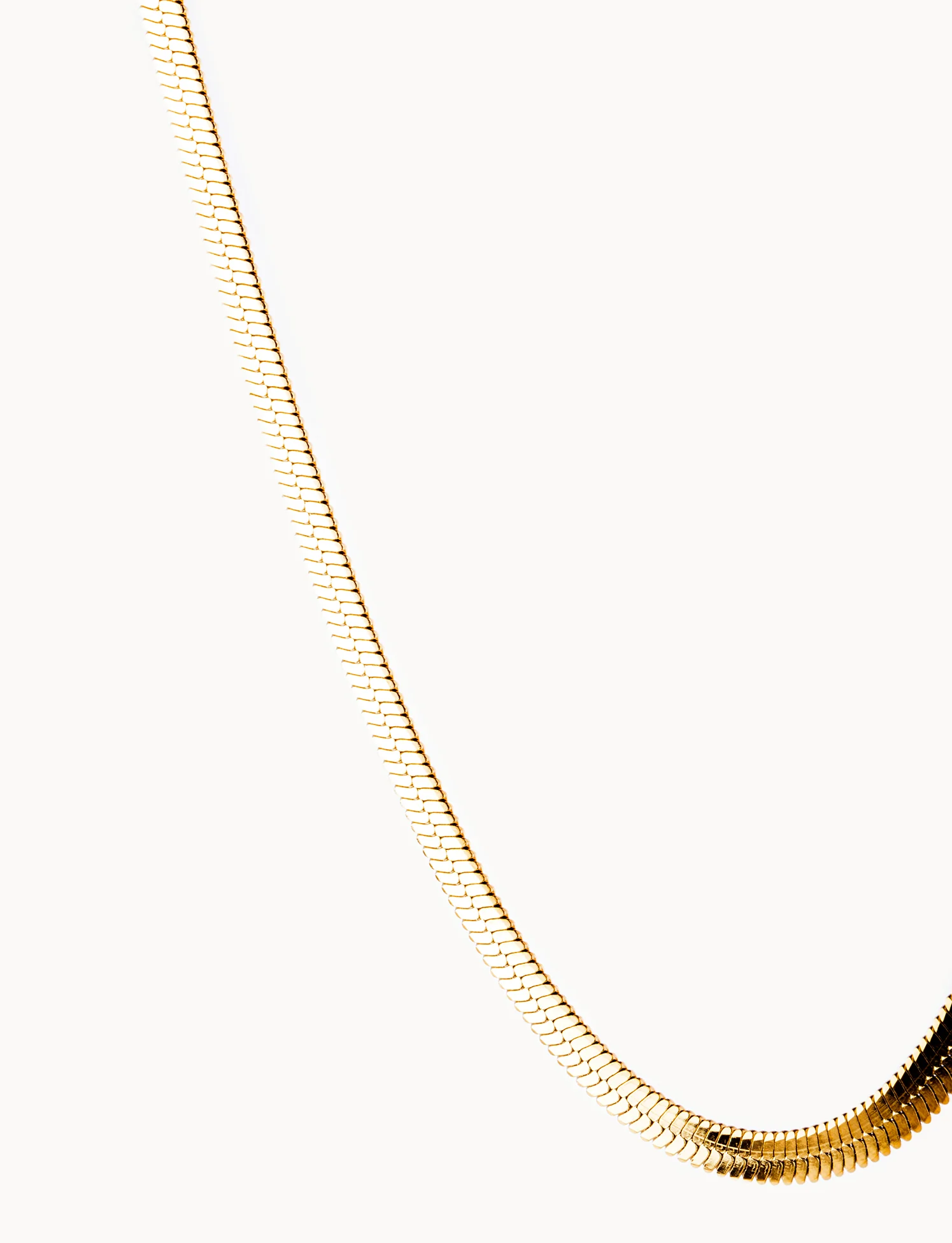 Snake Medio - Image 3