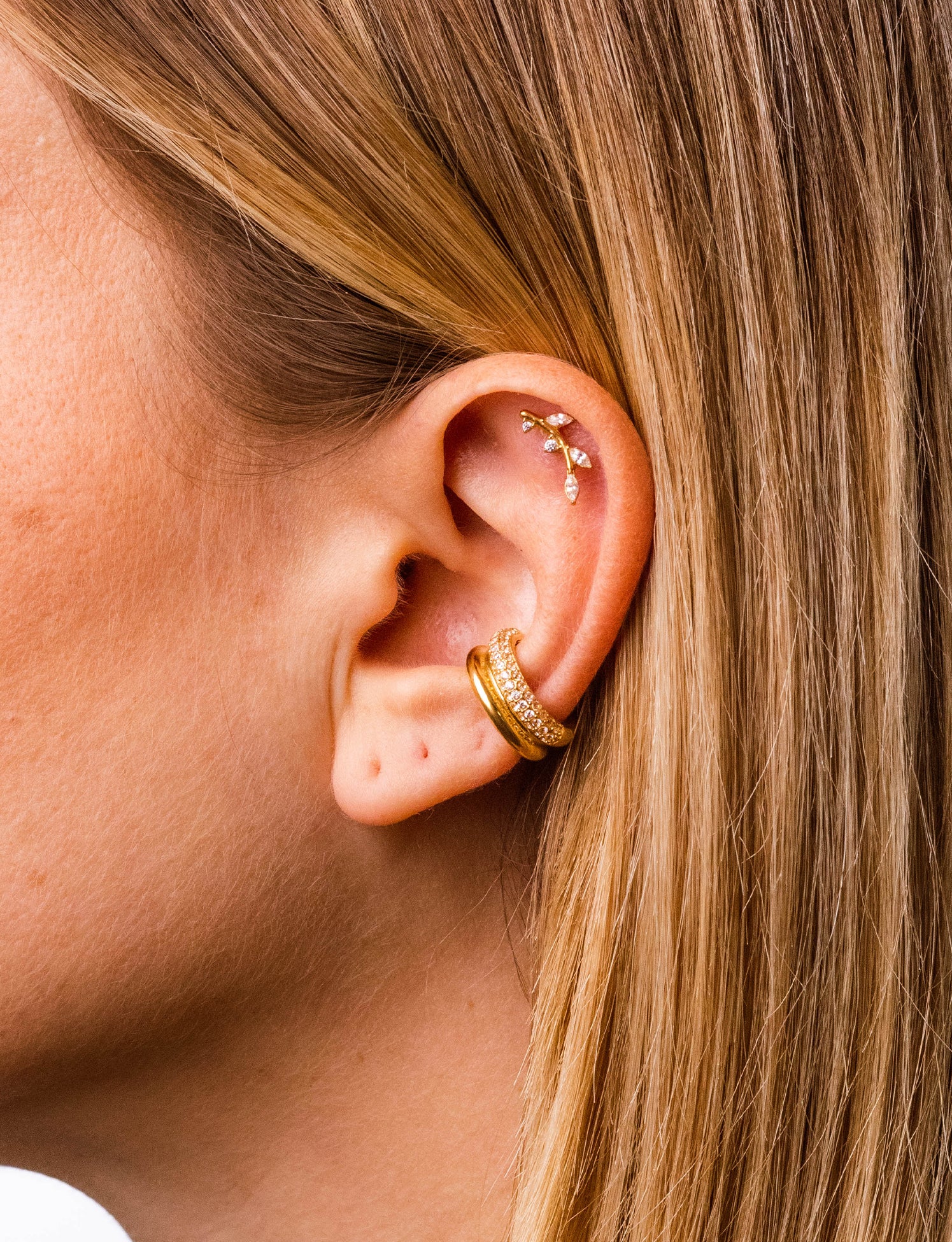 Piercing Pothos - Image 3